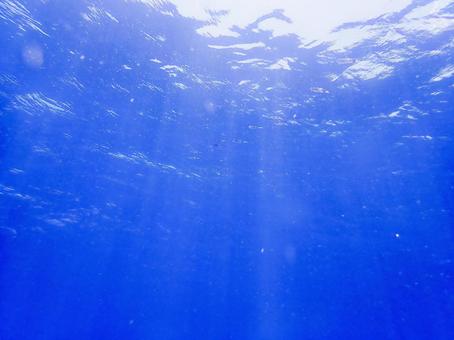 見上げる水面・陽射し 水中,光,キラキラの写真素材