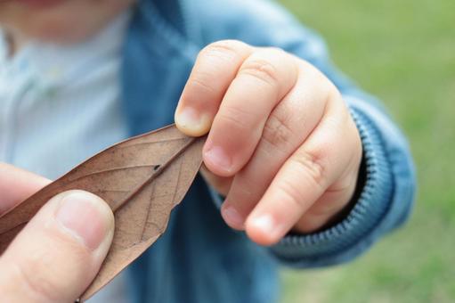 落ち葉を握る子供の手 幼児,手,落ち葉の写真素材