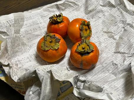 柿 柿,果物,フルーツの写真素材