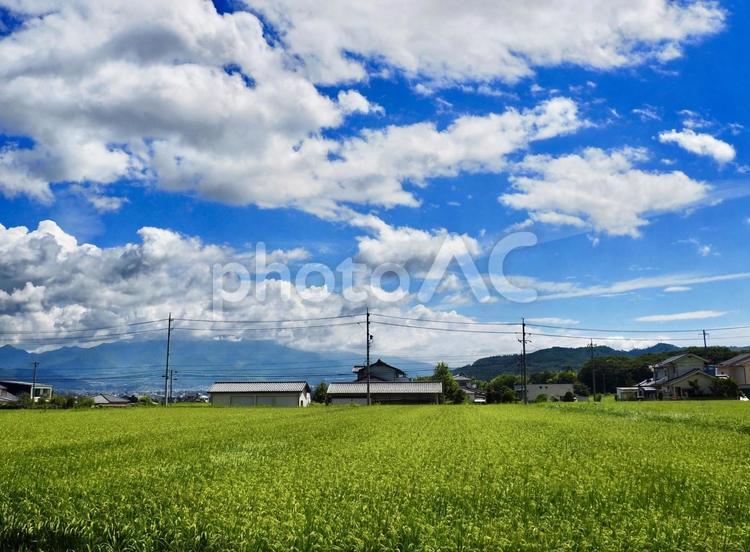 田舎の風景 田舎,田んぼ,田園の写真素材