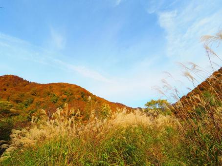 紅葉(雨飾山) 紅葉(雨飾山) 紅葉,秋,もみじの写真素材