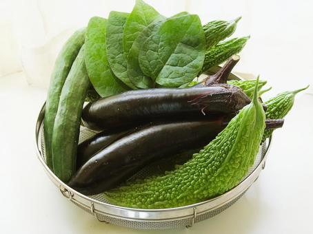 朝採りの夏野菜 朝採りの夏野菜 夏野菜,夏,野菜の写真素材