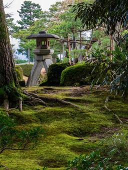 兼六園 兼六園 兼六園,石川県,金沢の写真素材