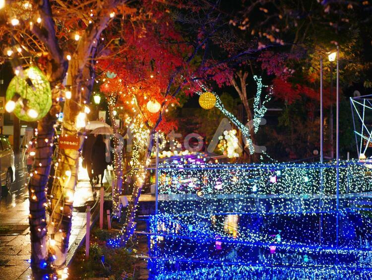 雨の日のイルミネーション 石畳,イルミネーション,夜の写真素材