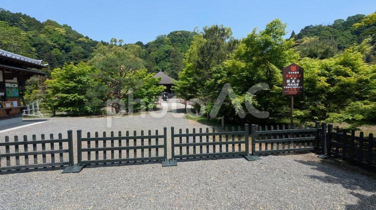 国宝　白水阿弥陀堂　初夏 白水阿弥陀堂,観光地,池の写真素材