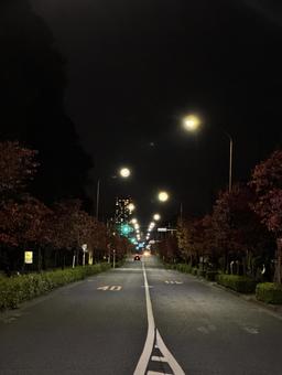 夜の住宅街 夜,住宅街,夜道の写真素材