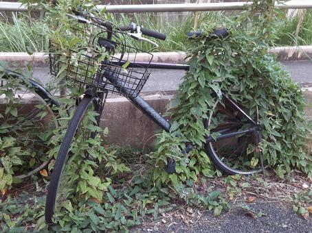 放置自転車 放置自転車,自転車,チャリの写真素材