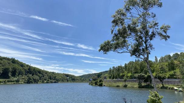 夏のビーナスライン・白樺湖(23) 夏のビーナスライン・白樺湖(23) 白樺湖,ビーナスライン,夏の写真素材