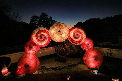岡寺 岡寺,三重塔,ライトアップの写真素材