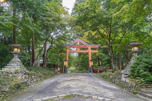 滋賀 日吉大社 西本宮 山王鳥居 滋賀 日吉大社 西本宮 山王鳥居 日吉大社,日枝社,日吉の写真素材