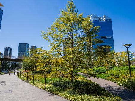 うめきた公園・大阪梅田の緑地 うめきた公園・大阪梅田の緑地の写真