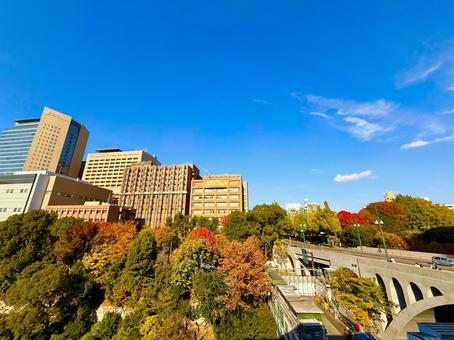 聖橋と紅葉とビル群の眺め 青空,空,ブルースカイの写真素材