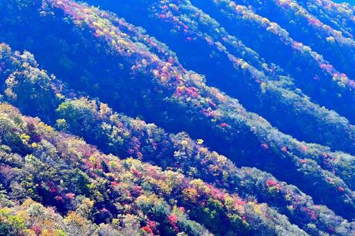 奥日光の紅葉（中禅寺湖、男体山） 紅葉,秋,風景の写真素材