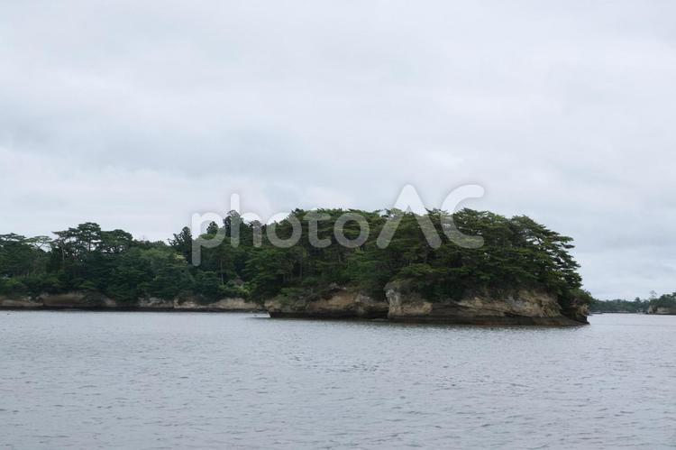 松島の観光　遊覧船から見た島々の風景 松島,松島湾,遊覧船の写真素材