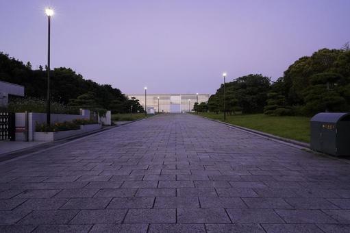 日の出直後の葛西臨海公園 日の出直後の葛西臨海公園 早朝,日の出,朝の写真素材