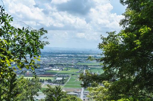 新緑 新緑 岐阜県,風景,自然の写真素材