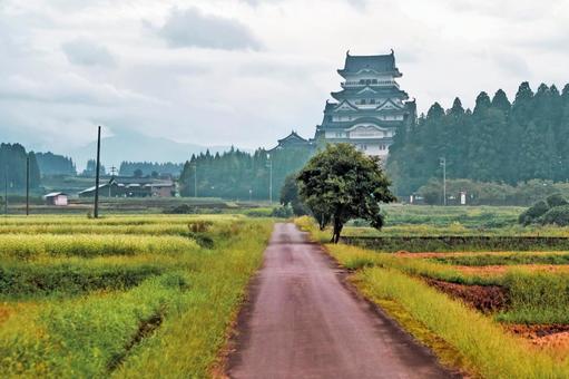 田舎の一本道の先に城、福井県勝山市の風景 田舎の一本道の先に城、福井県勝山市の風景 福井県,勝山市,風景の写真素材