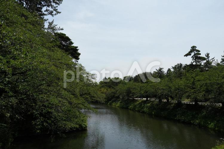 弘前城址公園のお堀などの風景 弘前城,弘前,弘前市の写真素材