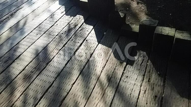 木漏れ日 バックグランド,ボード,レトロの写真素材
