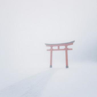 雪霧に浮かぶ鳥居 雪霧に浮かぶ鳥居の写真