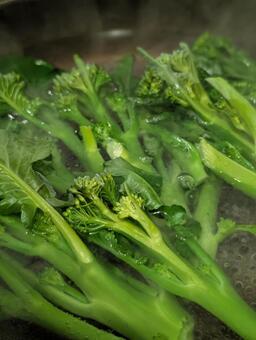 茎ブロッコリーを茹でる ブロッコリー,茎ブロッコリー,スティックセニョールの写真素材