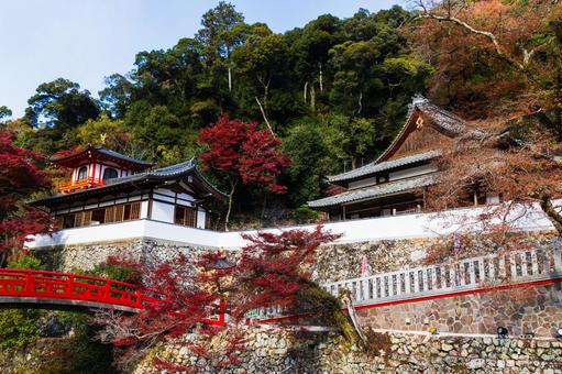 紅葉風景 紅葉風景,紅葉,箕面の写真素材