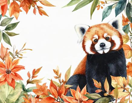 レッサーパンダと紅葉のフレーム素材 レッサーパンダと紅葉のフレーム素材の写真