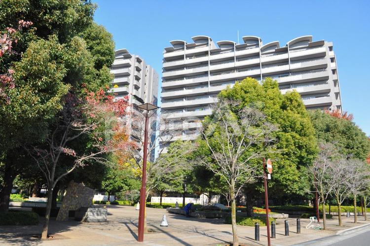 大規模マンション　敷地（11月） 大規模マンション,マンション郡,紅葉の写真素材
