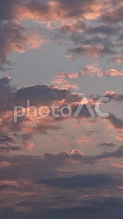 桃色の夕暮れ 何人もありません,日暮れ,空の写真素材