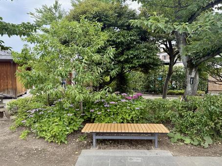 堀切菖蒲園 曇り空の下咲き誇る花菖蒲 堀切菖蒲園 曇り空の下咲き誇る花菖蒲の写真