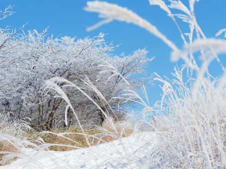 雪景色・冬の登山道(高ボッチ山) 雪景色・冬の登山道(高ボッチ山) 高ボッチ山,山,登山道の写真素材