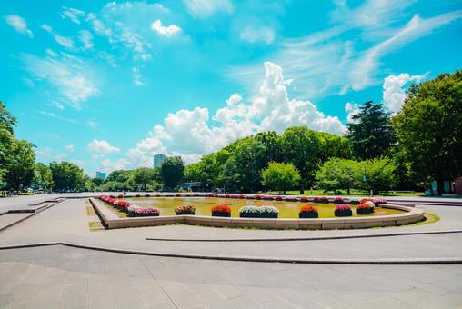 【東京】上野公園 2025 【東京】上野公園 2025 上野公園,上野,東京の写真素材