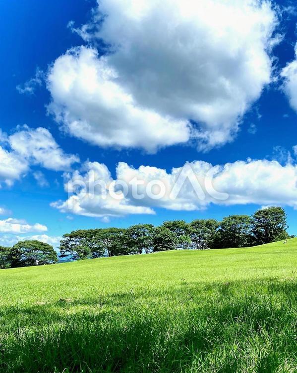 夏空 夏空,草原,空の写真素材