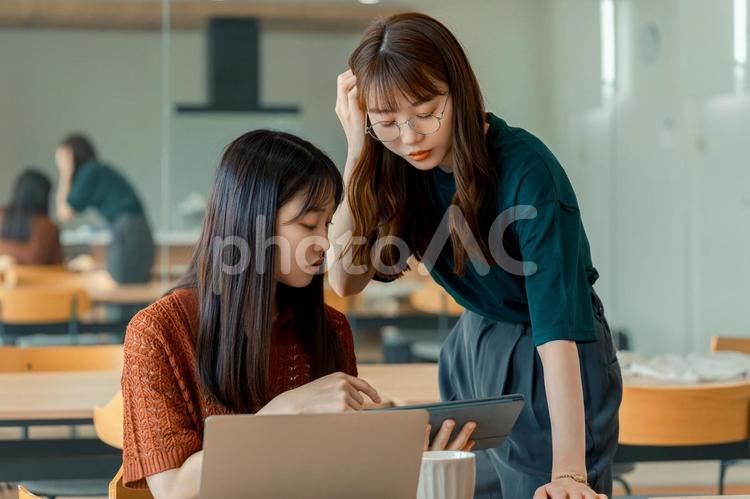 ミーティングをする2人のビジネスウーマン 女性,ビジネス,ビジネスウーマンの写真素材