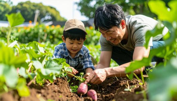 サツマイモ掘りをする親子の写真