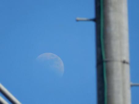 【風景写真】夏空 【風景写真】夏空の写真