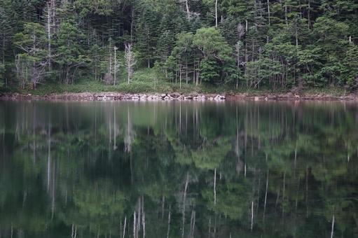 Photo, reflection, woods, mountain, 