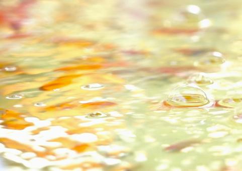 金魚すくいの金魚④ 金魚すくいの金魚④ 金魚,魚,金魚すくいの写真素材