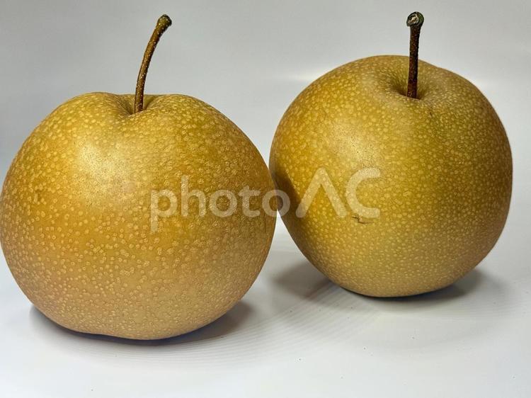 採れたての果物のイメージ　梨 梨,季節の食べ物,農家の写真素材