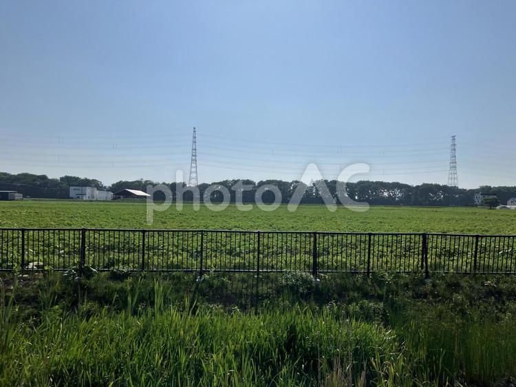 田舎の夏の風景 夏,夏休み,田舎の写真素材