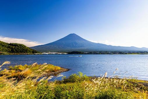 山梨県 河口湖から望む富士山 山梨県 河口湖から望む富士山 富士山,風景,青空の写真素材