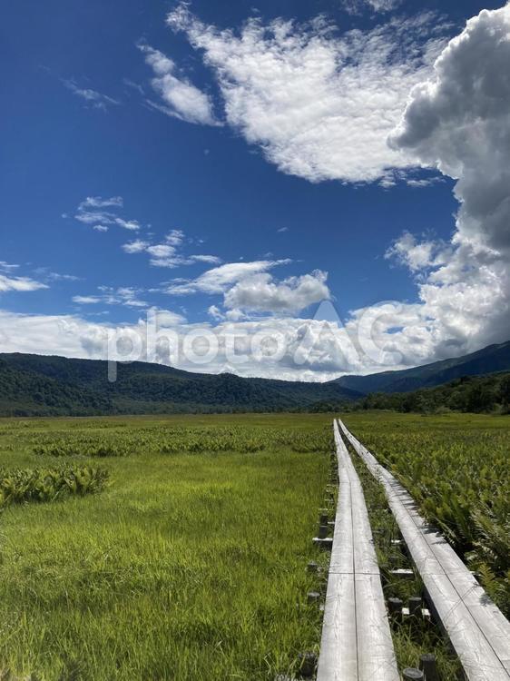 尾瀬　ハイキング　絶景　木道 尾瀬,尾瀬ヶ原,自然の写真素材