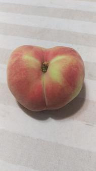 蟠桃 蟠桃の写真