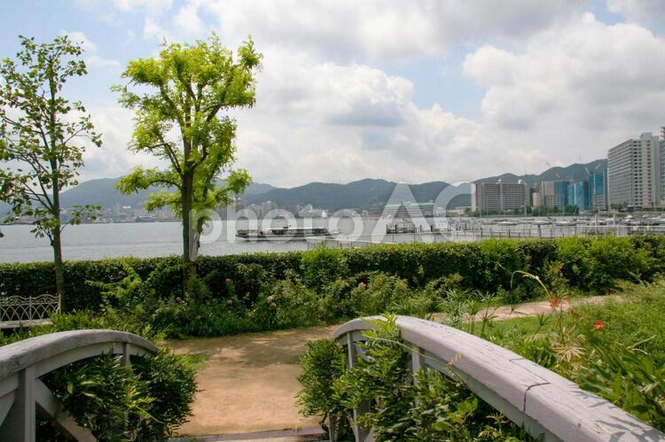 琵琶湖・柳が崎湖畔公園 柳が崎湖畔公園,琵琶湖,湖畔の写真素材