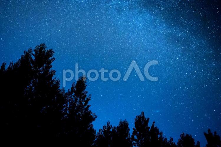 満天の星空と森のシルエット 満天の星,星空,浪漫の写真素材