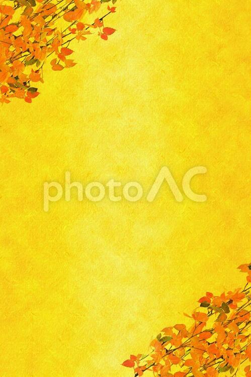 金色の和紙風テクスチャに紅葉　縦型 金色,金,ゴールドの写真素材