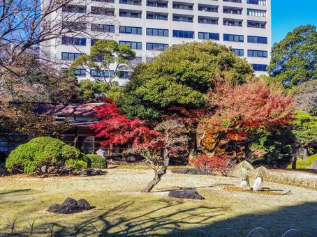 【東京都】文京区・小石川後楽園 【東京都】文京区・小石川後楽園 小石川後楽園,紅葉,水道橋の写真素材