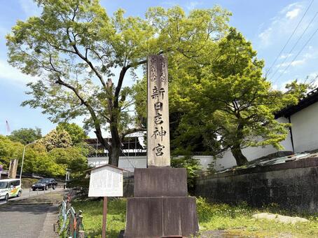 新日吉神宮 新日吉神宮,石碑,東山の写真素材