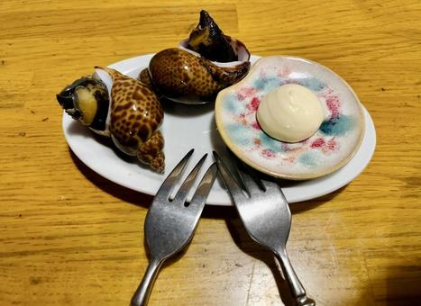 貝 貝 貝,おしゃれ,食事の写真素材