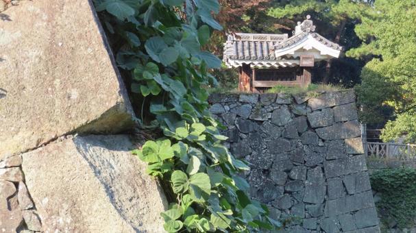 名古屋城　本丸　東門跡　移築門 名古屋城,尾張徳川家,御三家の写真素材